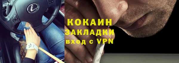 mix Богородицк