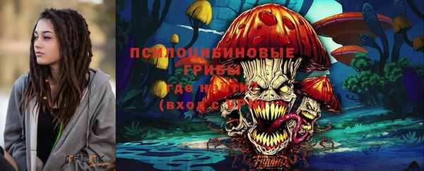 таблы Богданович