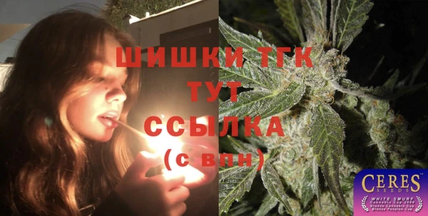 таблы Богданович