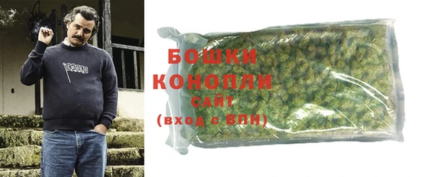 mix Богородицк